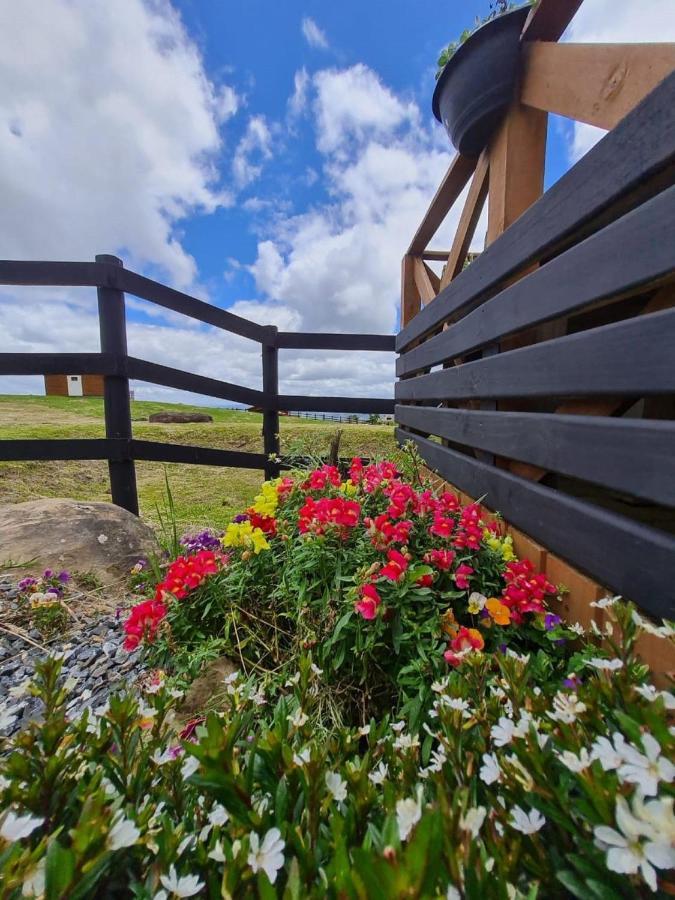 Chalet Refugio Serra Da Tartaruga - *